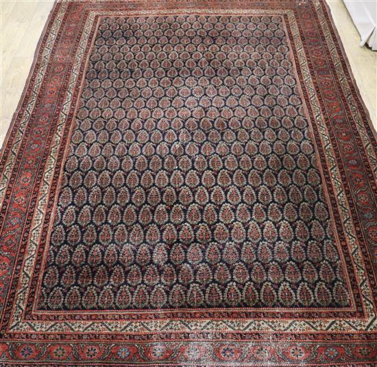 A small South West Persian Boteh red and blue ground carpet 305 x 217cm